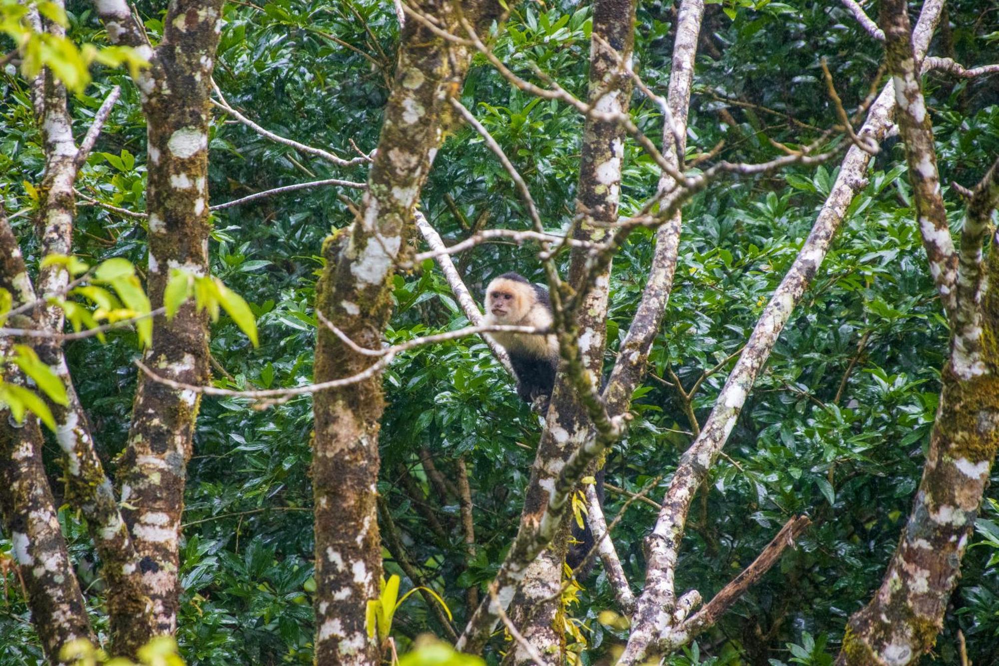 Aves De Tierras Altas Villa Bujagua Buitenkant foto
